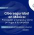 Newsletter #49, Ciberseguridad en México Principales amenazas y cómo proteger a tu empresa